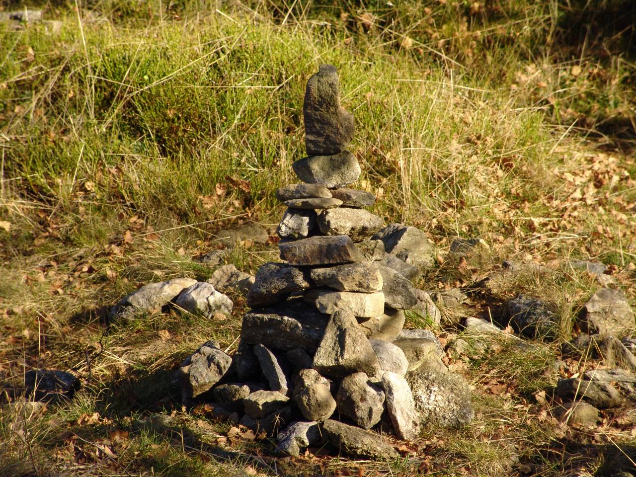 DSC05889.jpg
