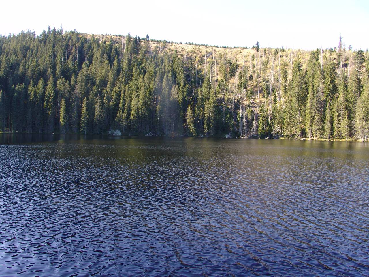 DSC05921.jpg