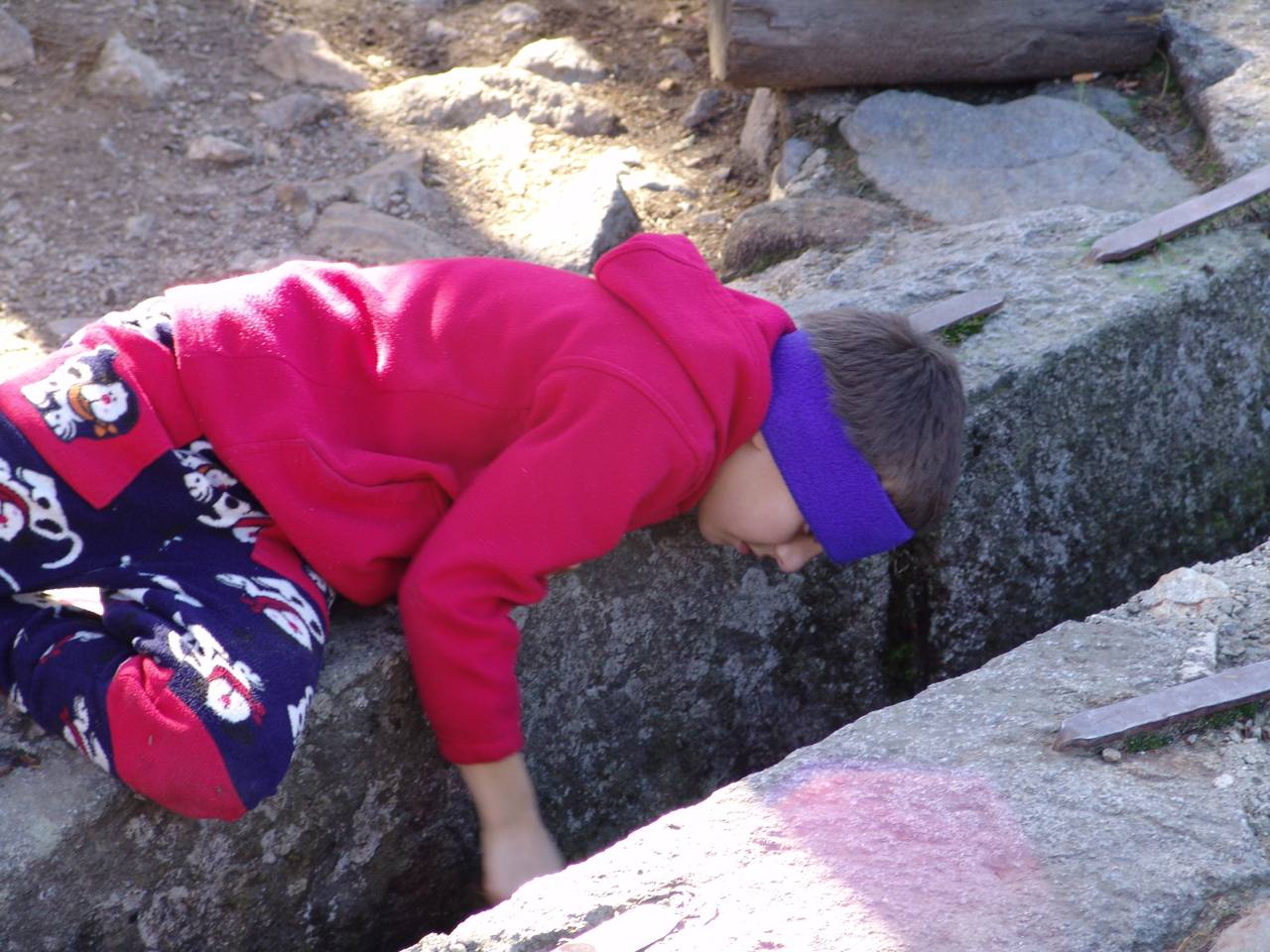 DSC05924.jpg