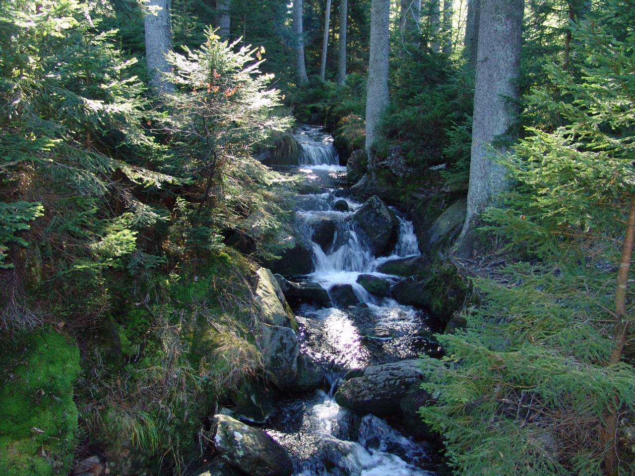 DSC05936.jpg