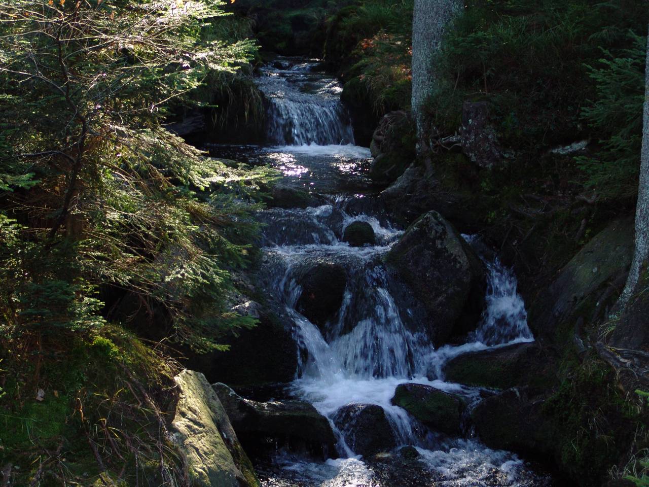 DSC05937.jpg