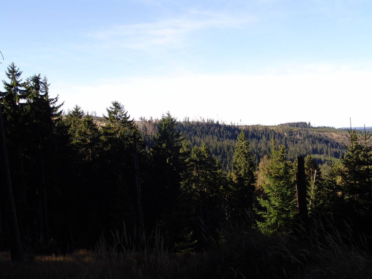 DSC05958.jpg