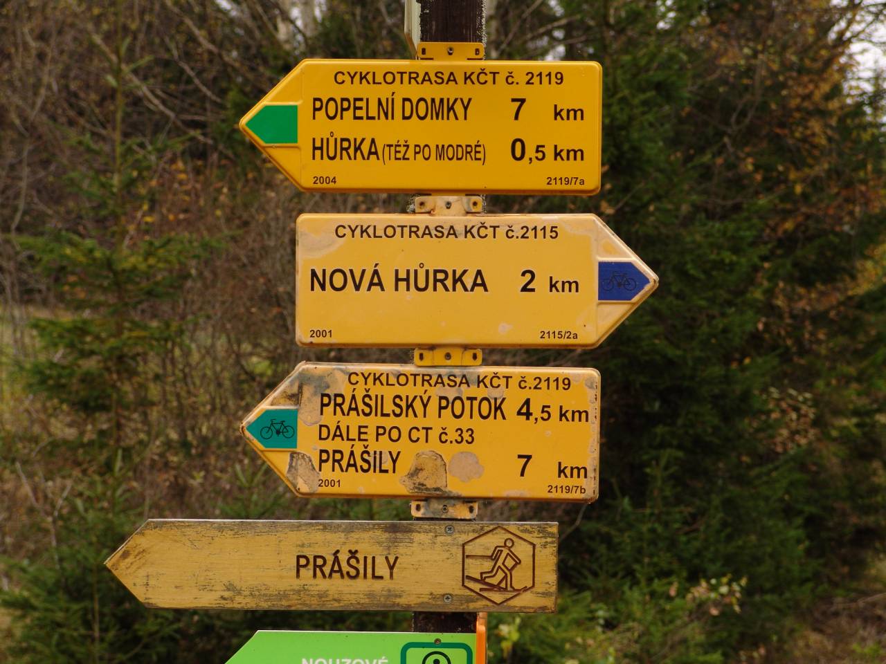 DSC06007.jpg