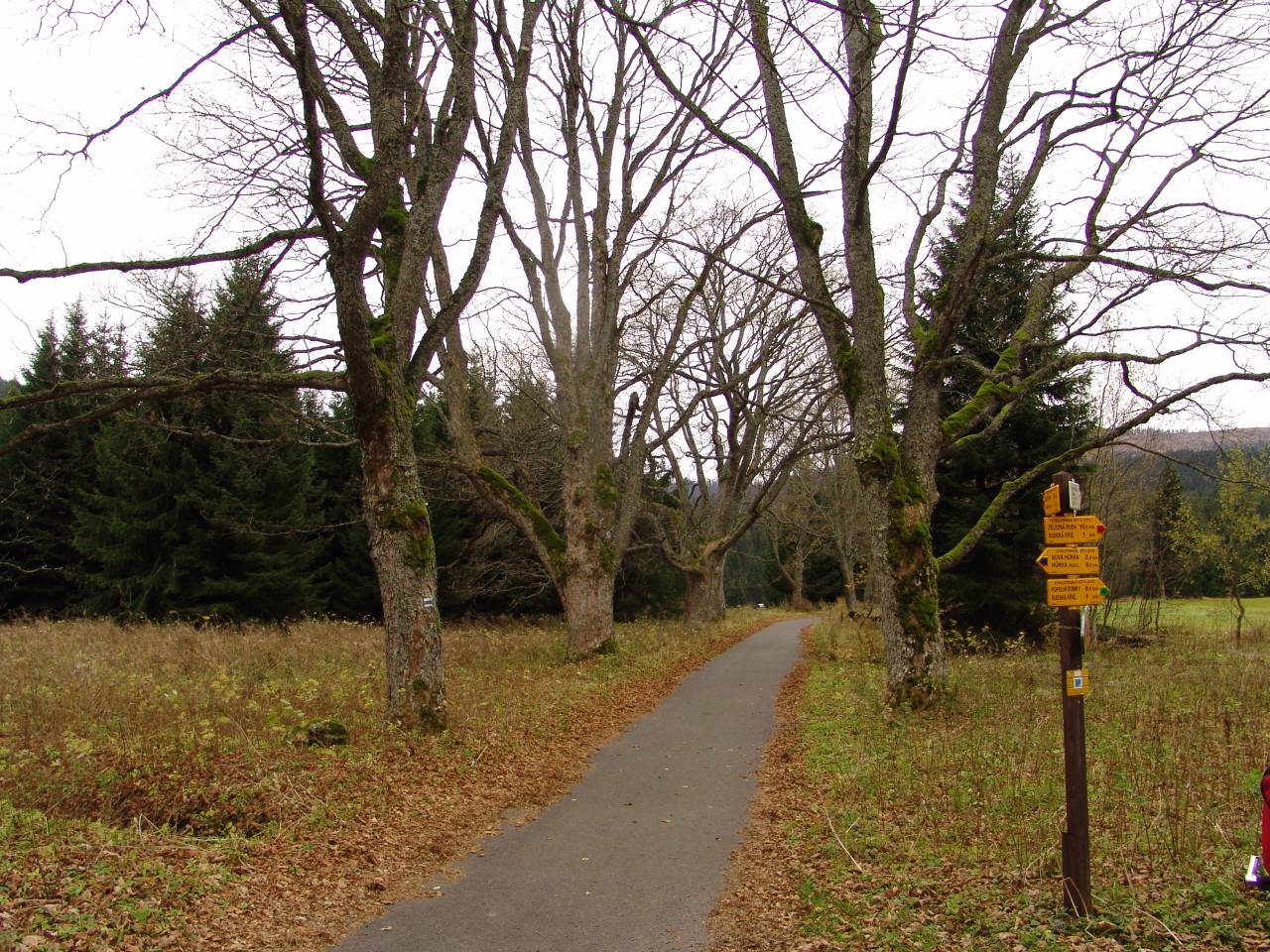 DSC06013.jpg