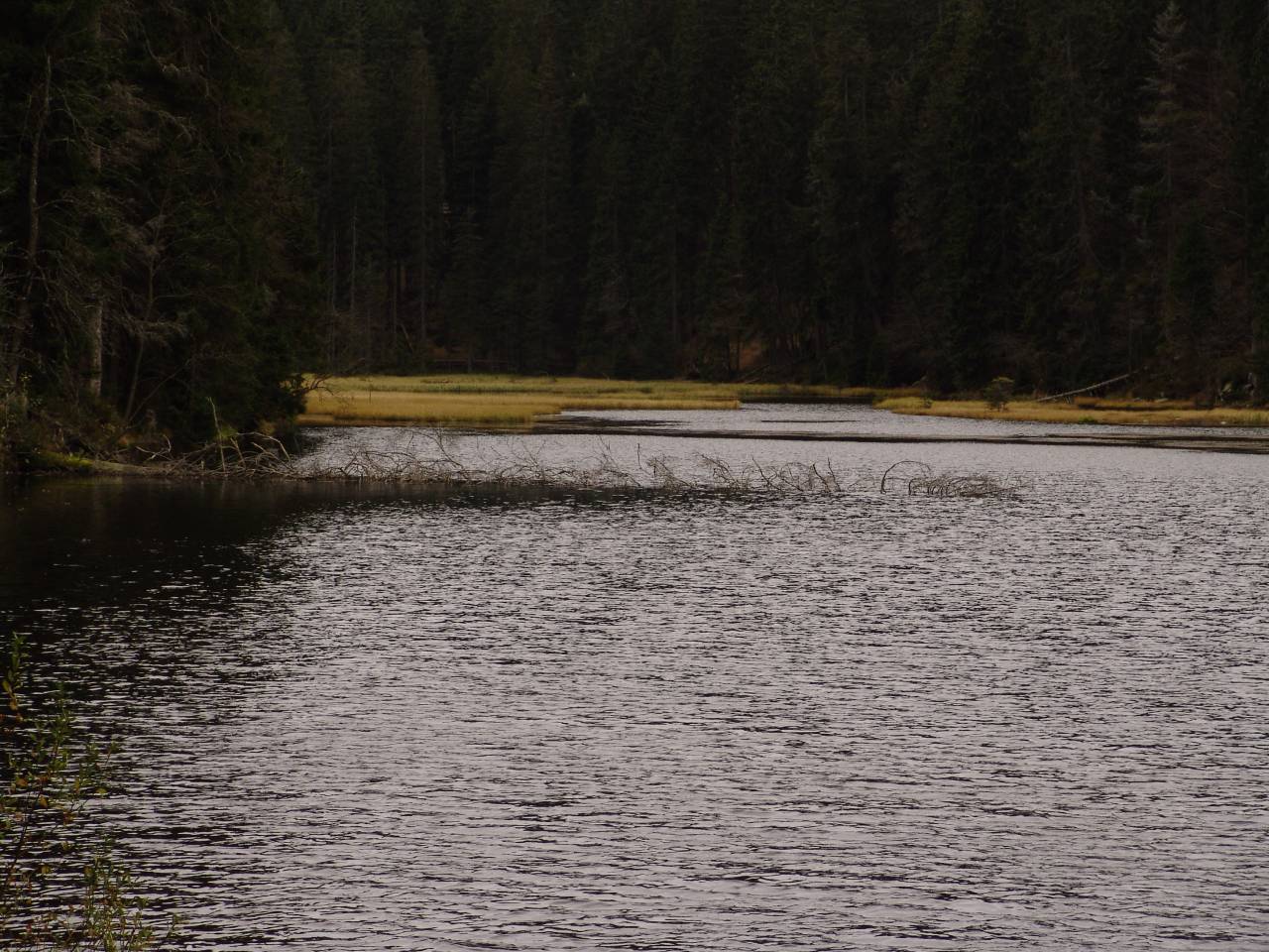 DSC06029.jpg