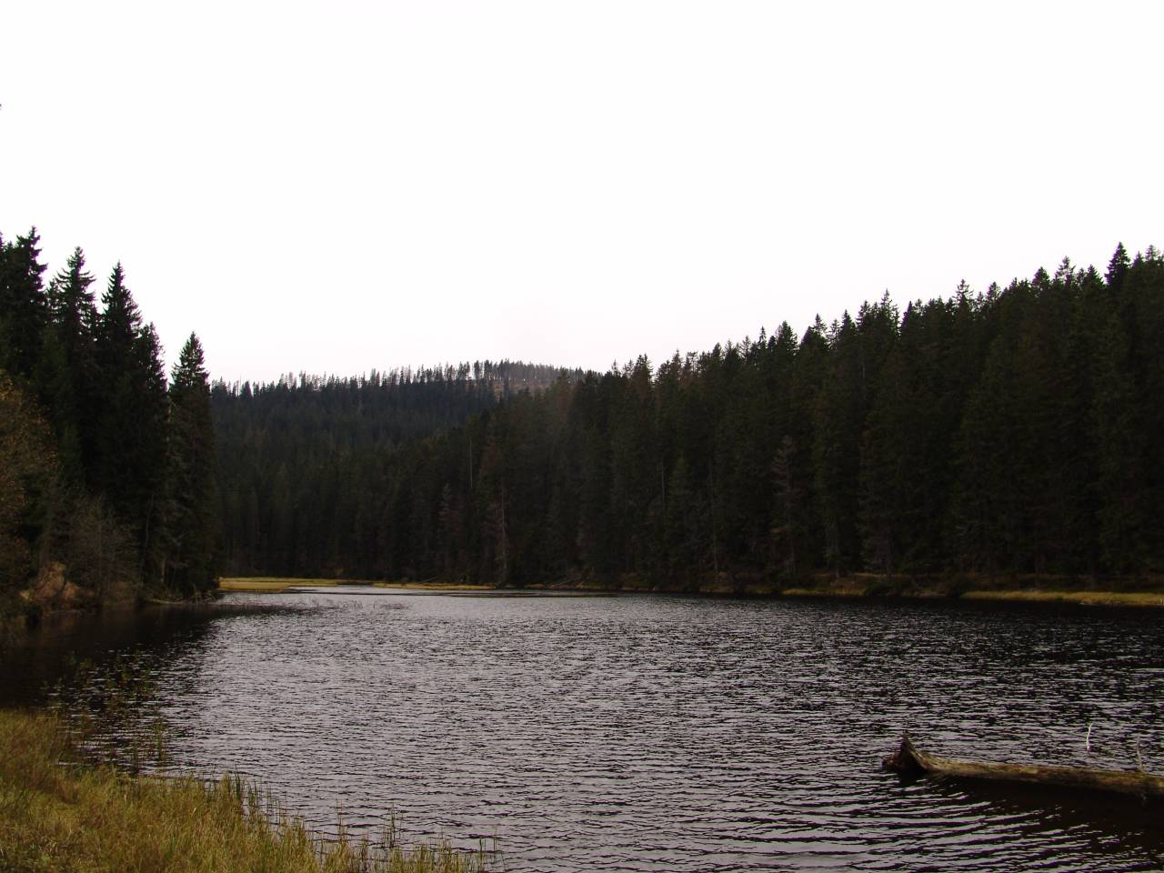 DSC06030.jpg