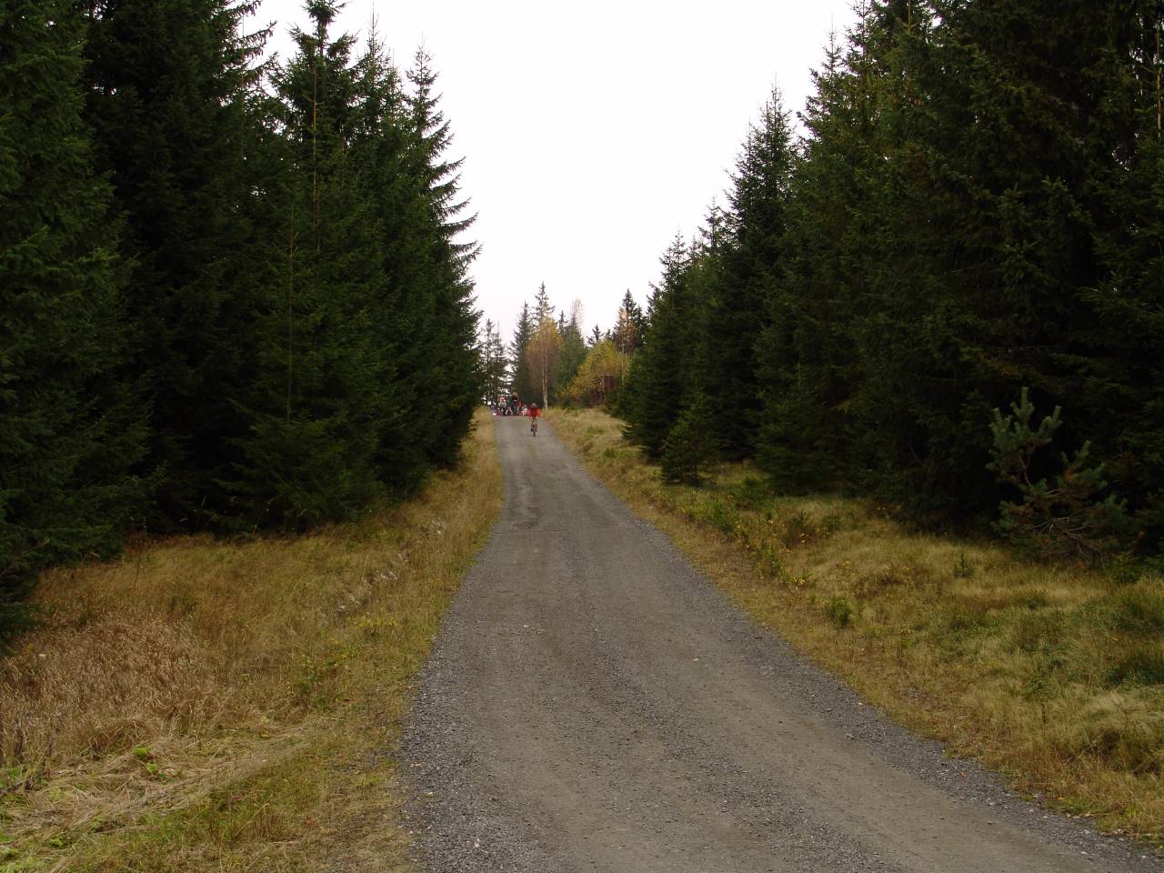 DSC06080.jpg