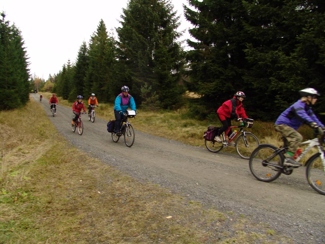 DSC06087.jpg
