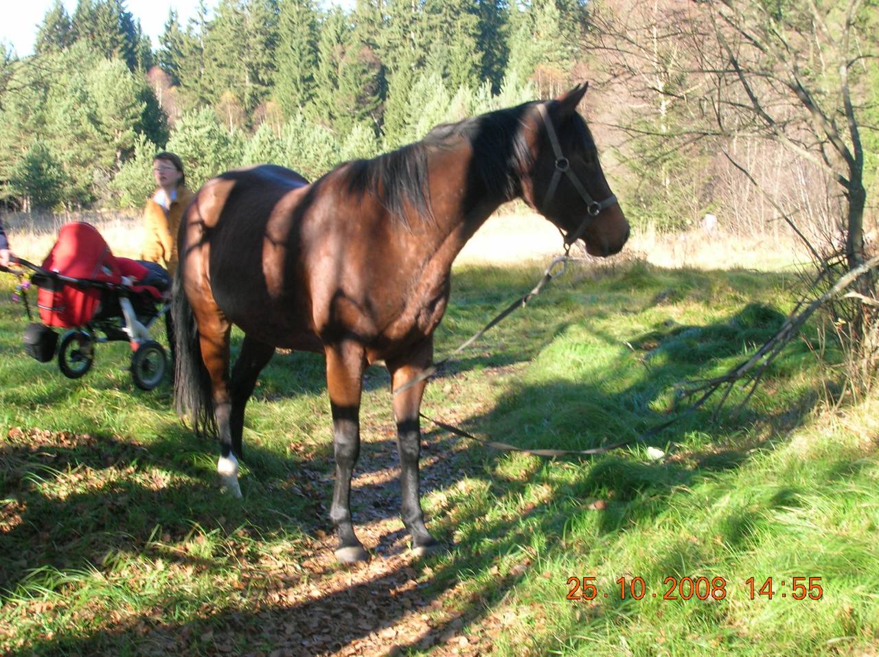 DSCN2414.jpg