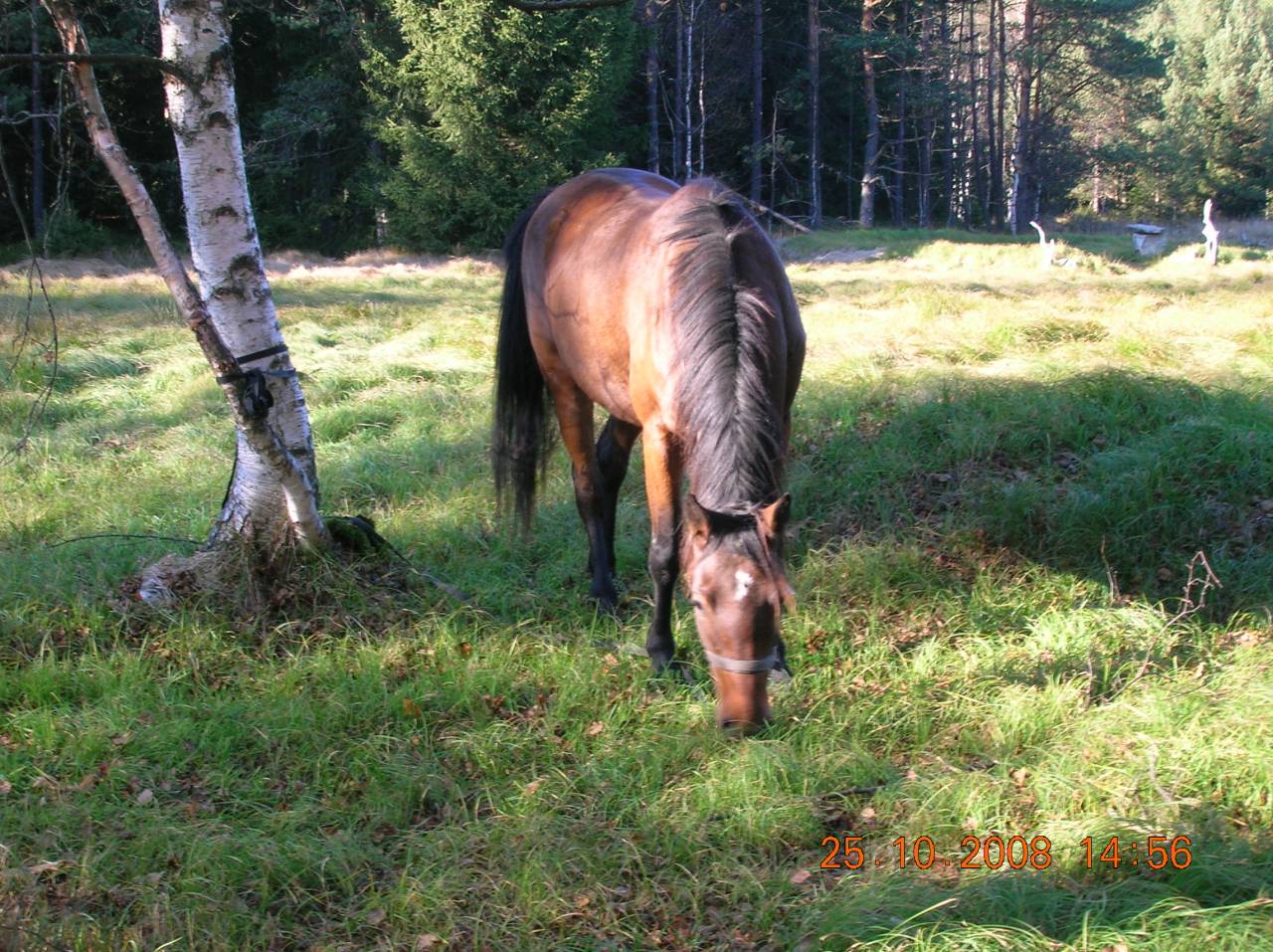 DSCN2415.jpg