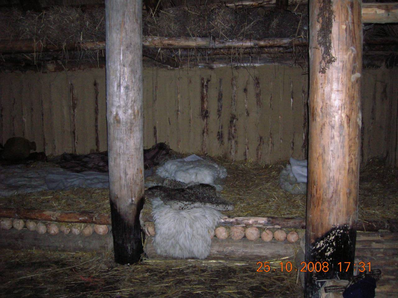 DSCN2432.jpg
