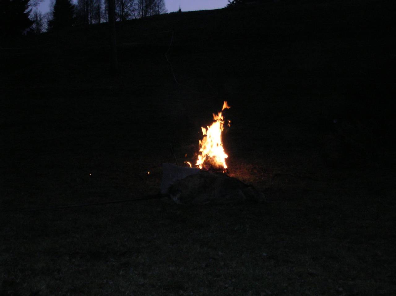 DSCN2444.jpg