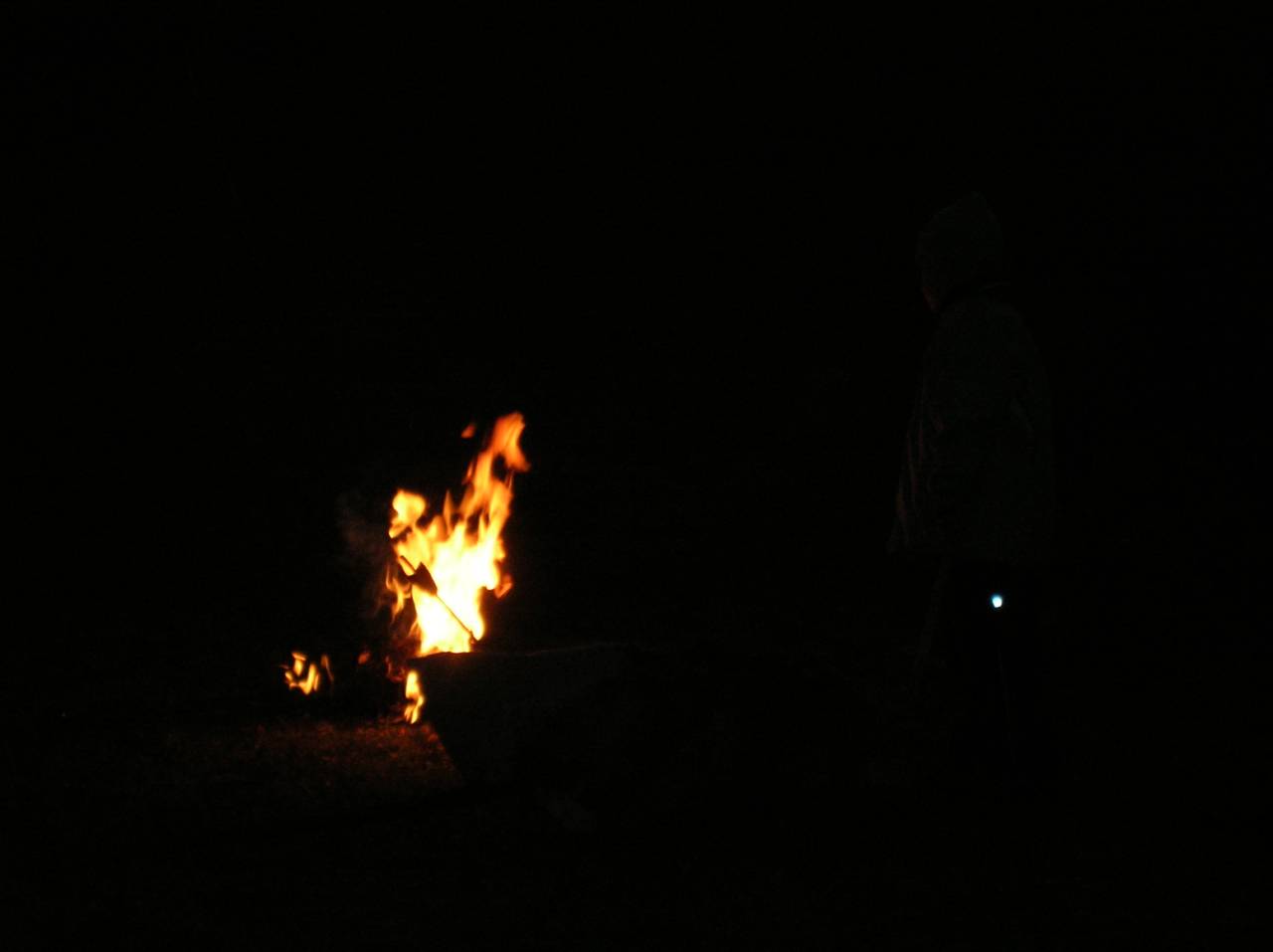 DSCN2445.jpg