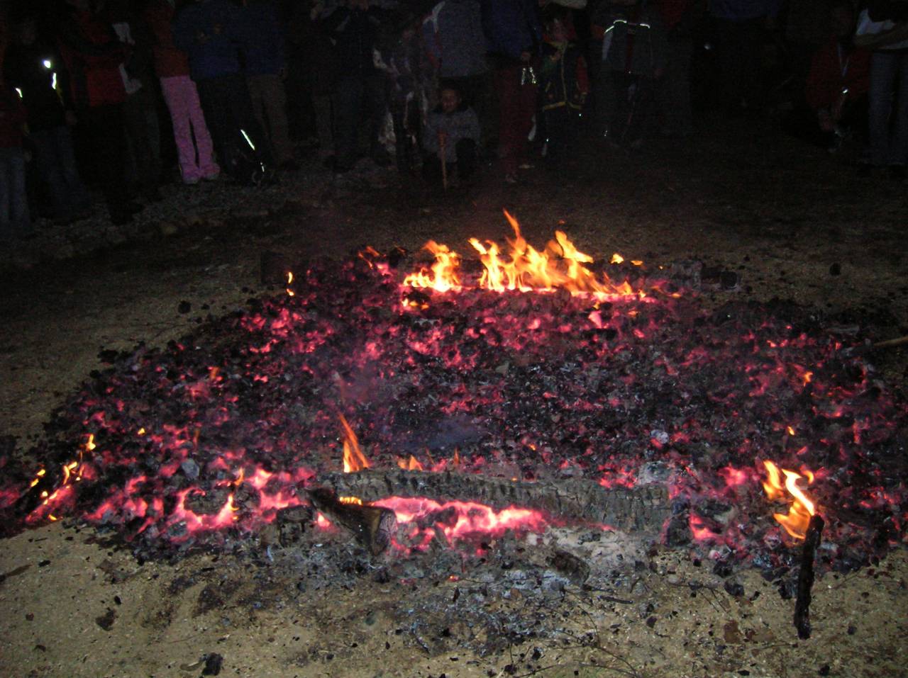 DSCN2447.jpg