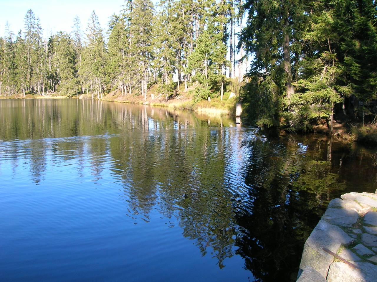 DSCN2470.jpg