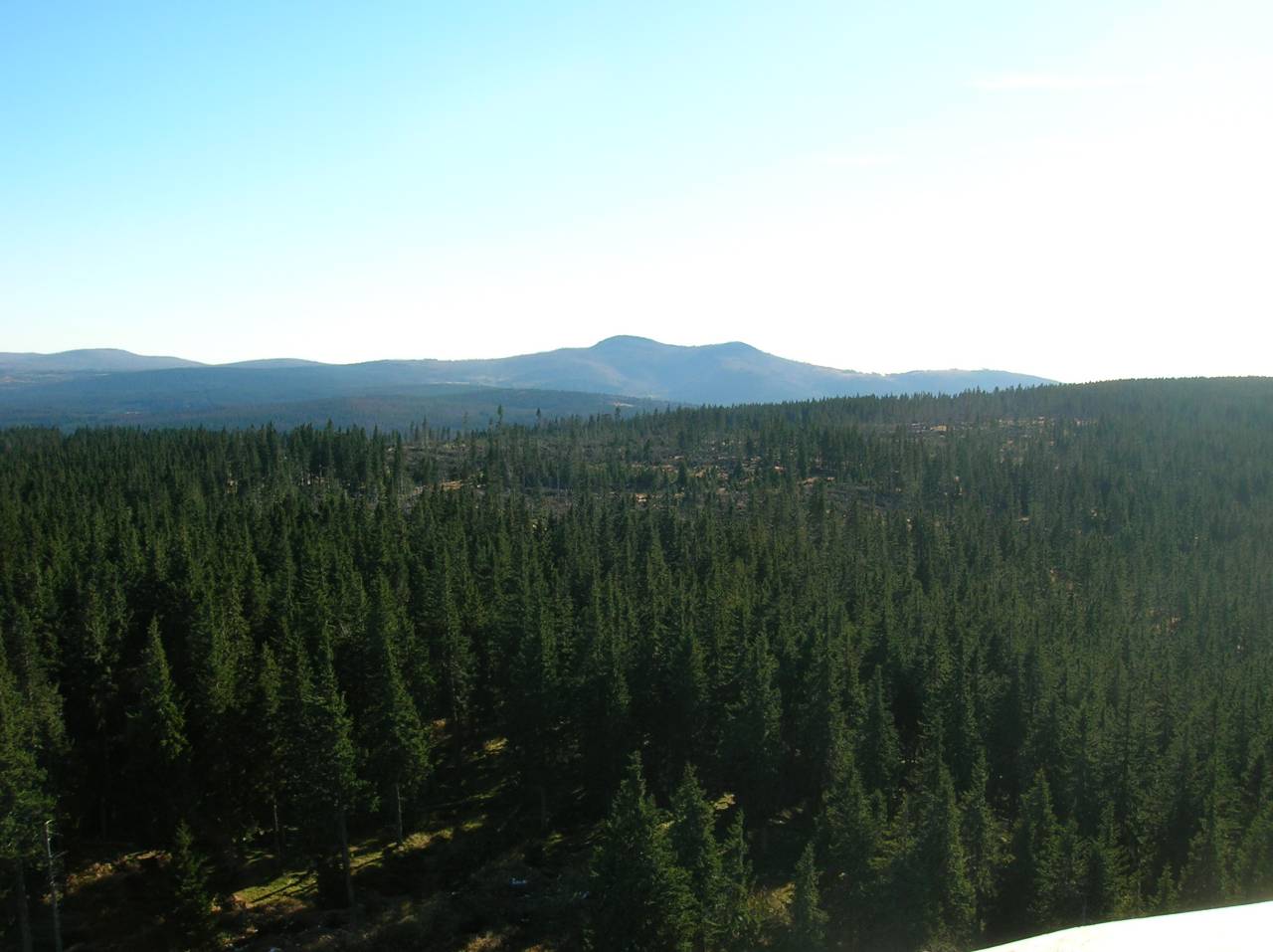 DSCN2481.jpg