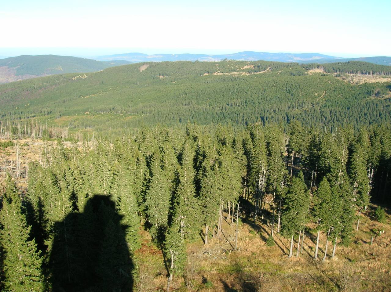 DSCN2492.jpg