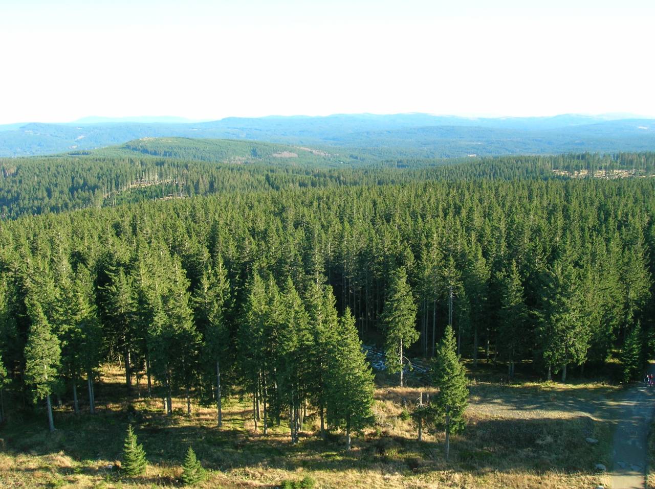 DSCN2494.jpg