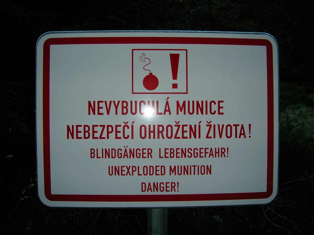 DSCN2502.jpg