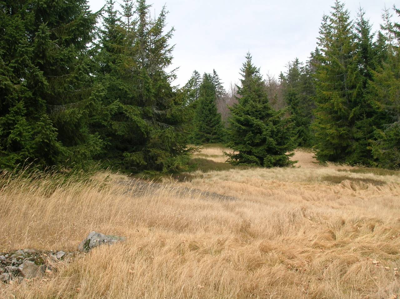 DSCN2514.jpg