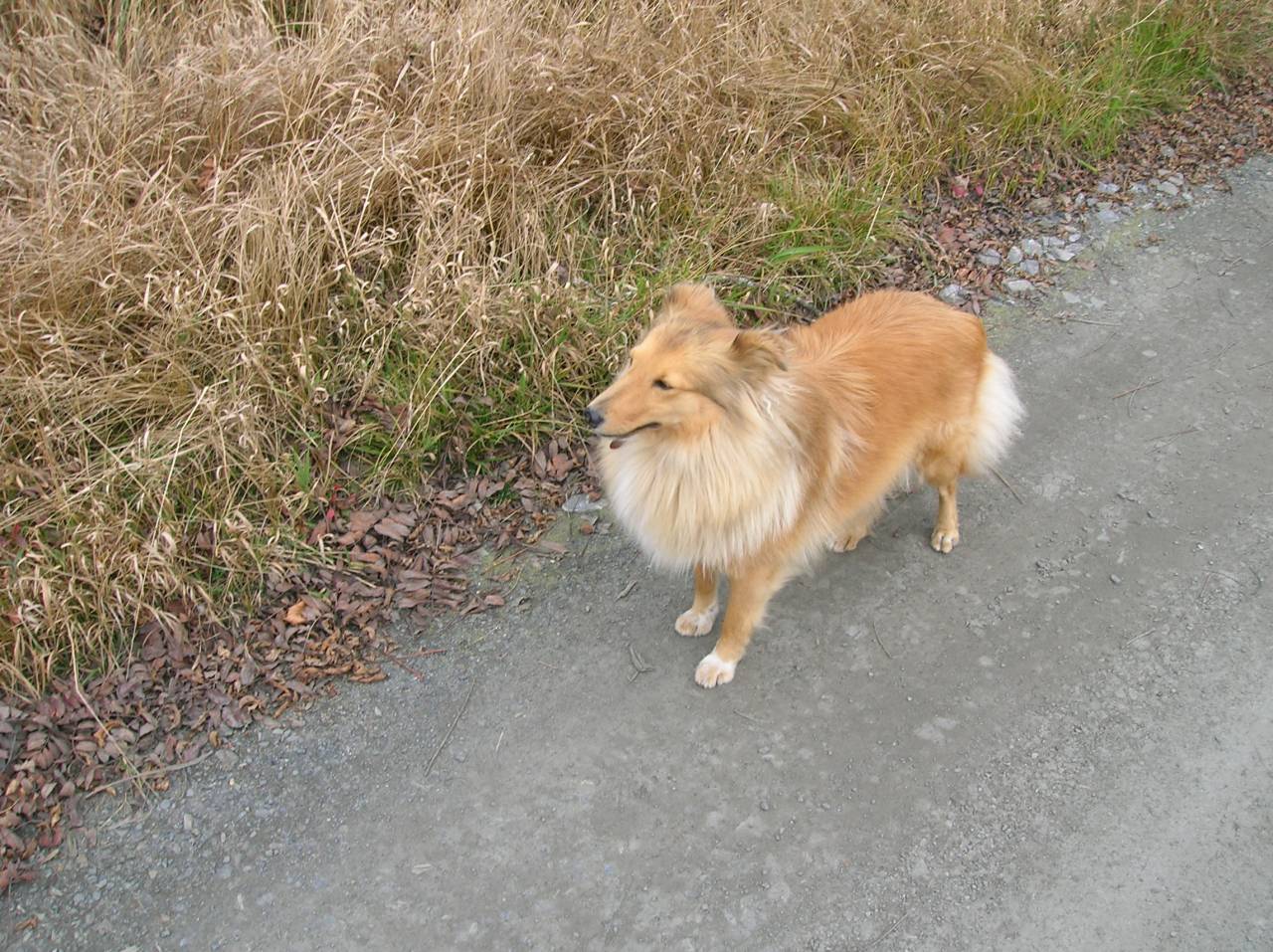DSCN2516.jpg