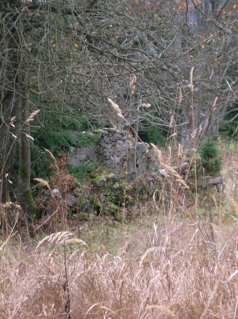 DSCN2517.jpg