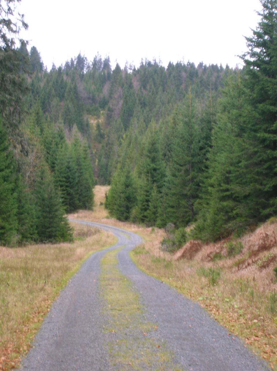 DSCN2528.jpg