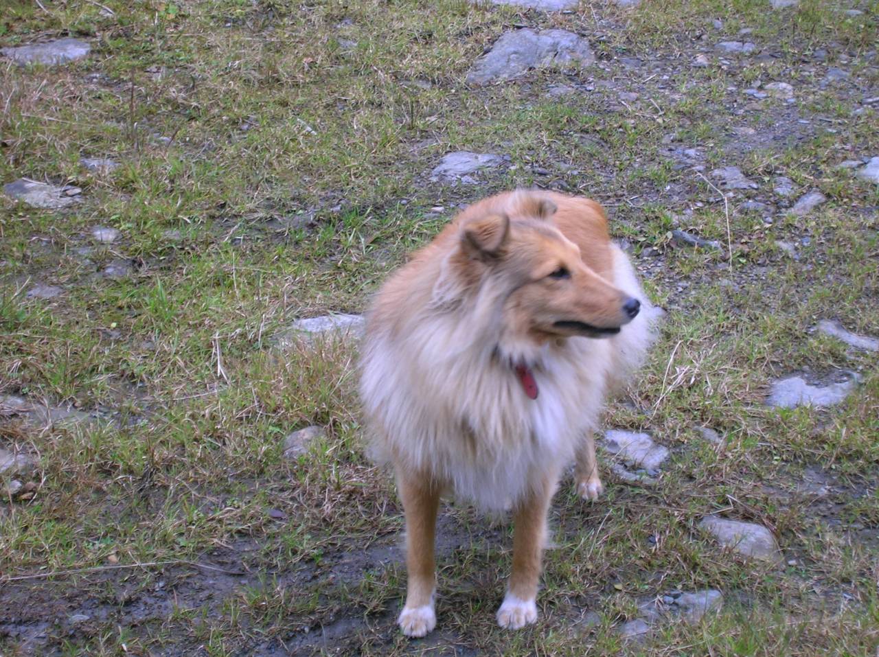 DSCN2529.jpg