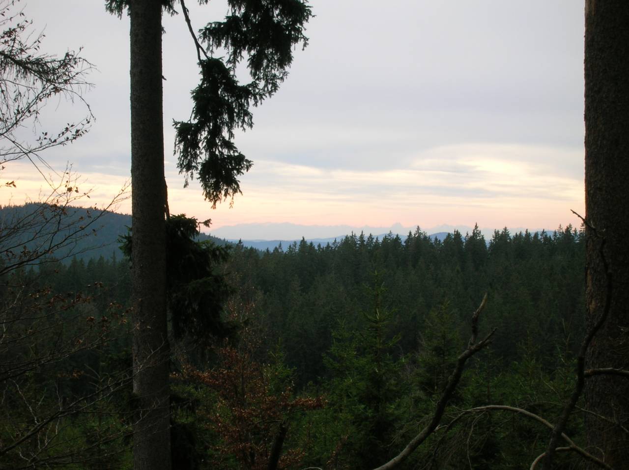 DSCN2534.jpg