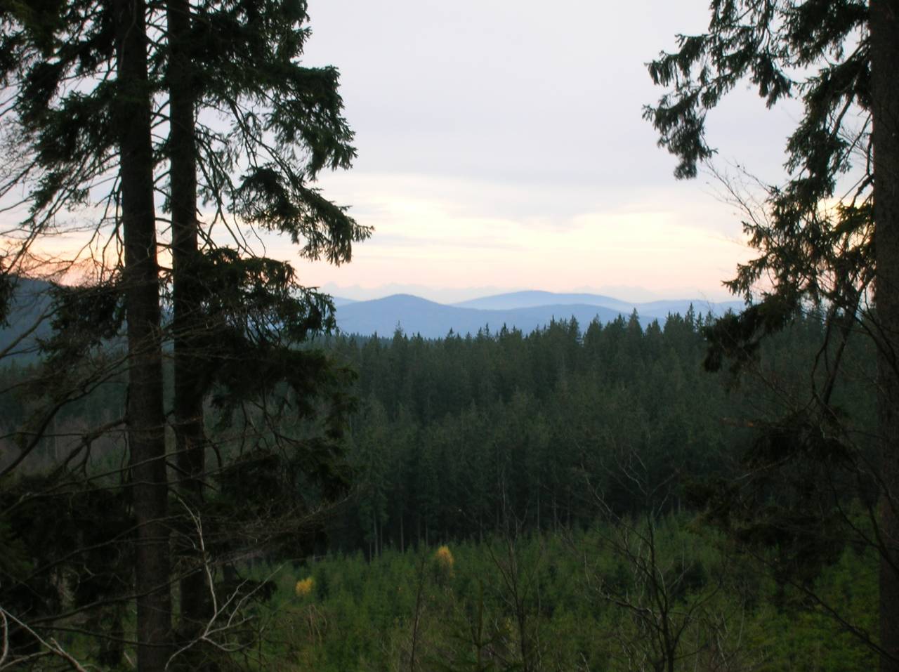 DSCN2535.jpg