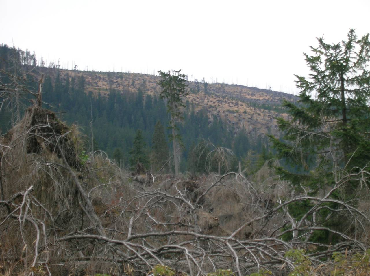 DSCN2537.jpg