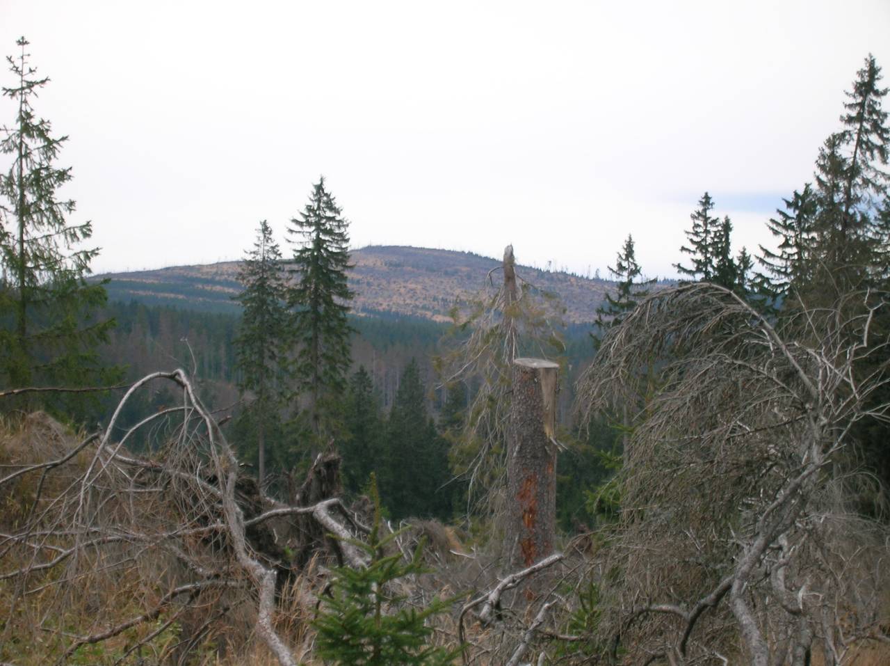 DSCN2538.jpg