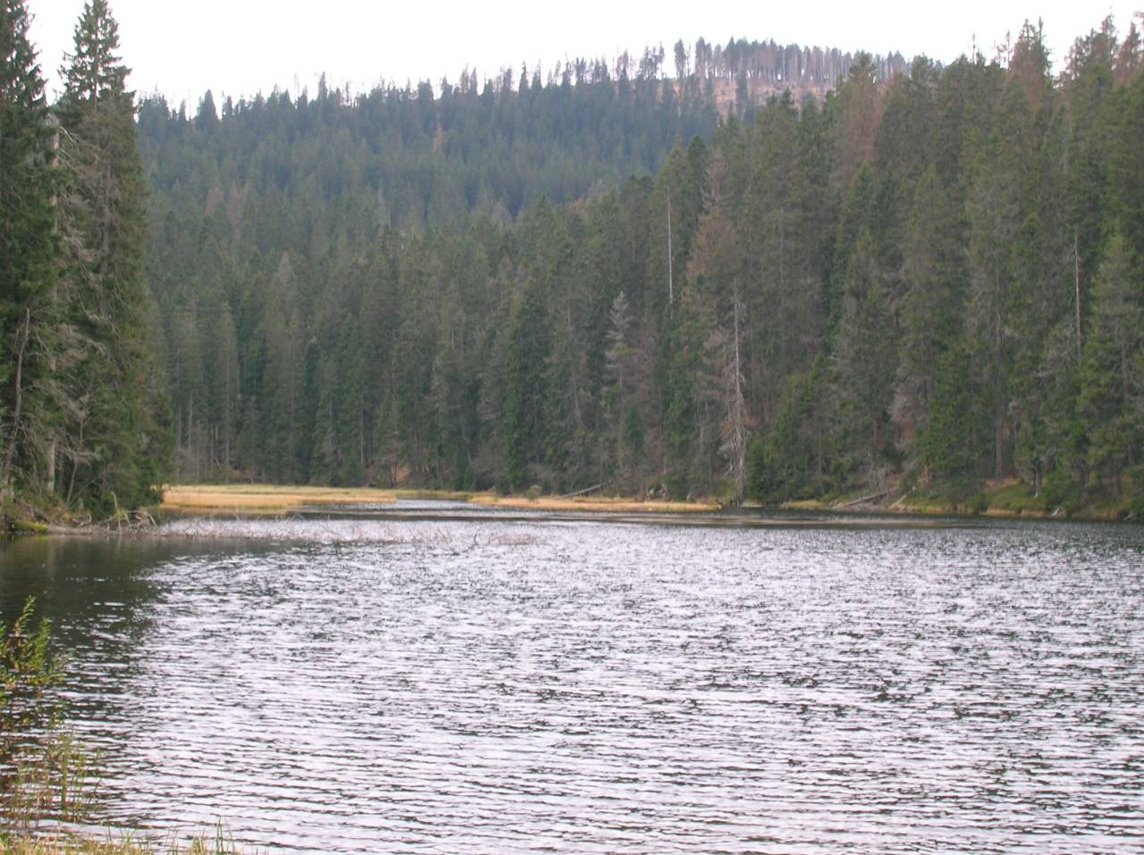 DSCN2540.jpg