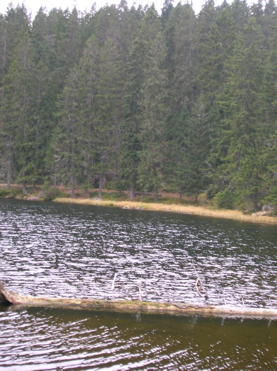 DSCN2541.jpg