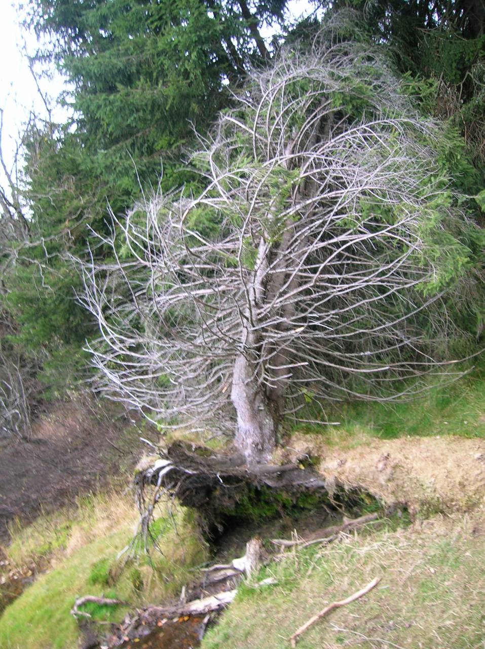 DSCN2542.jpg
