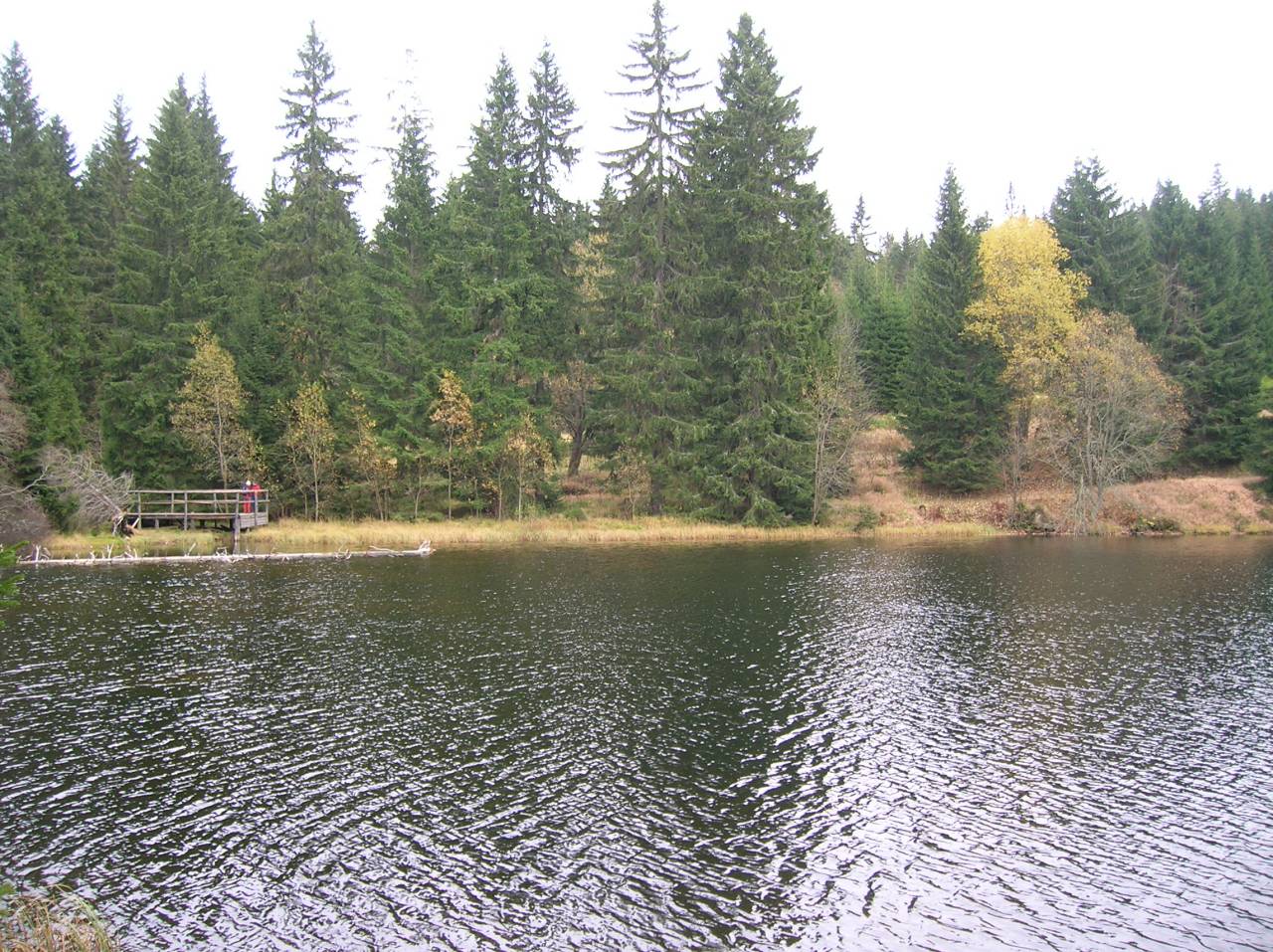DSCN2547.jpg
