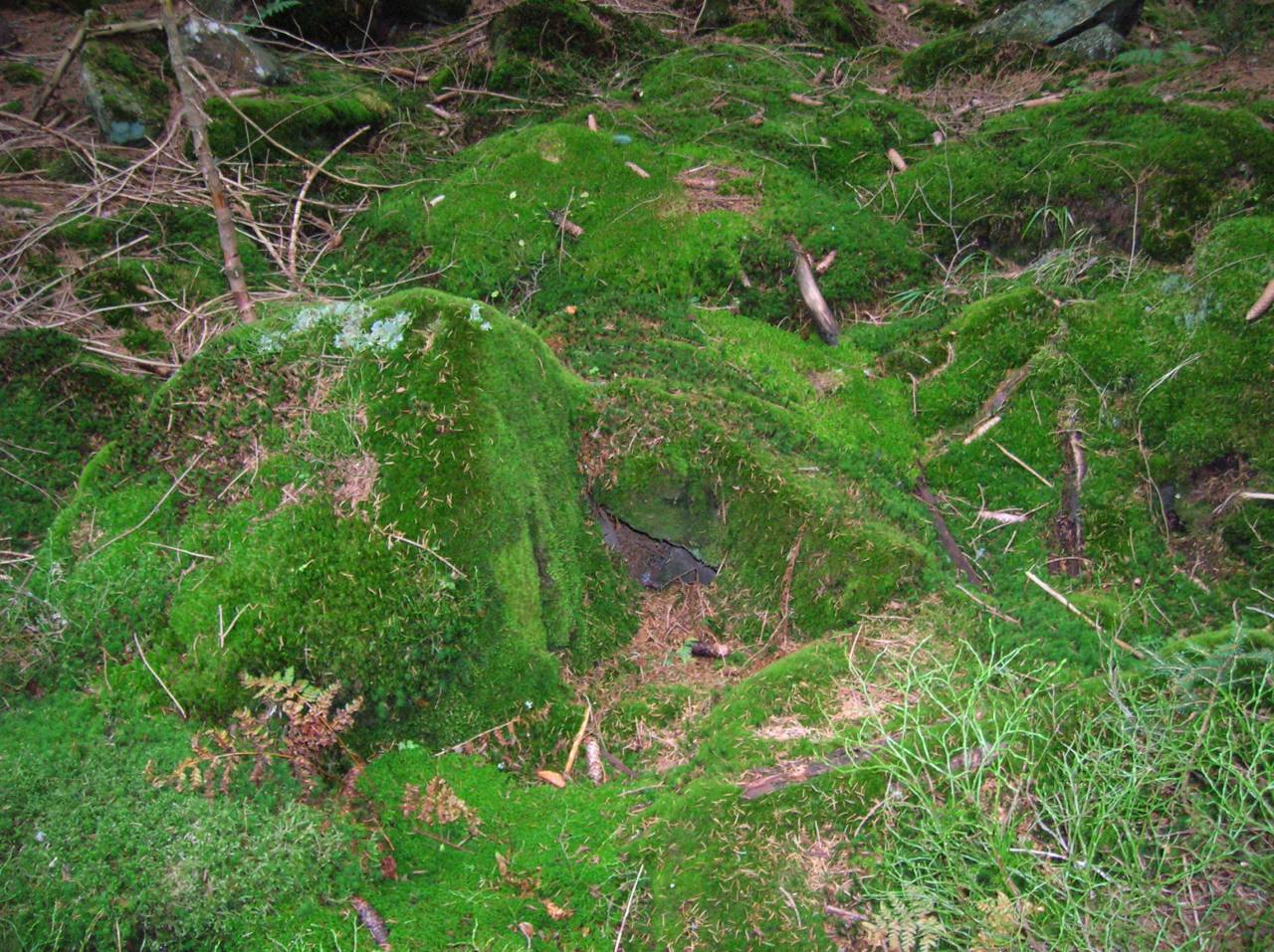 DSCN2551.jpg
