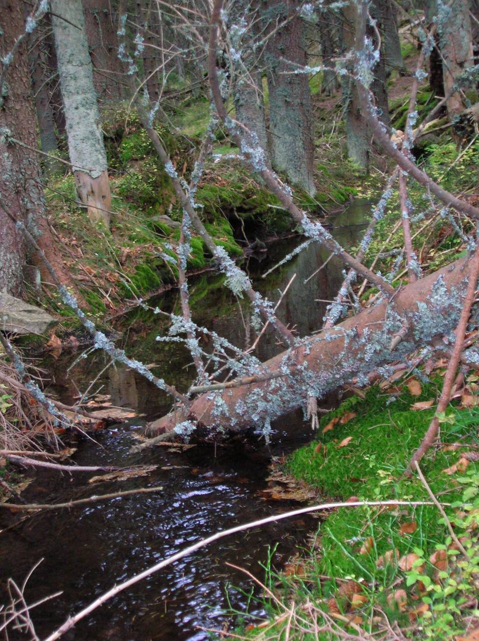 DSCN2552.jpg