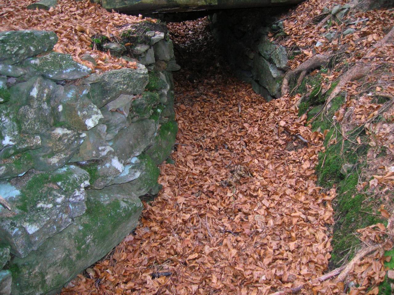 DSCN2554.jpg