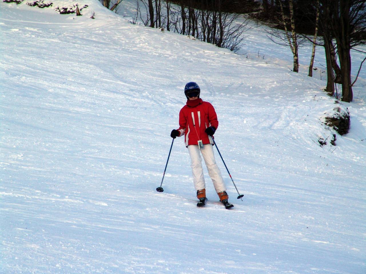 Silvestr459.jpg