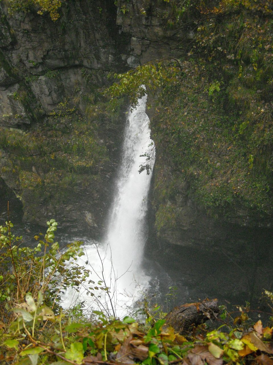20091028-Vilemina053.jpg