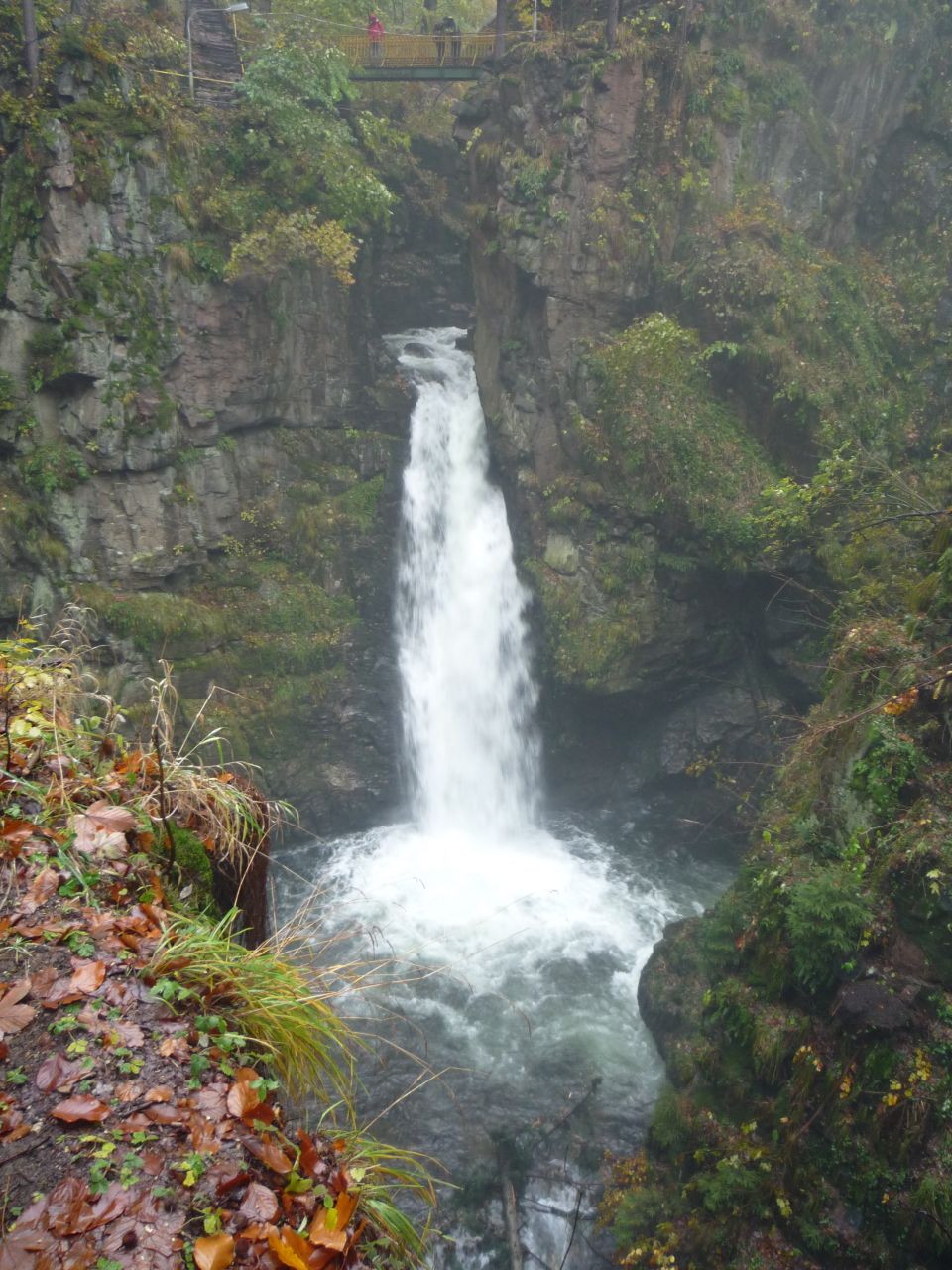 20091028-Vilemina067.jpg