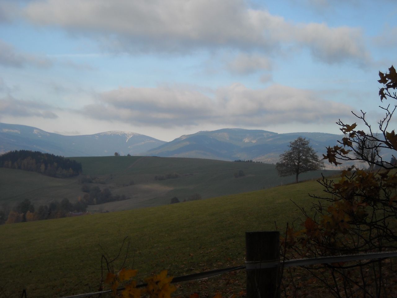 20091028-Vilemina200.jpg