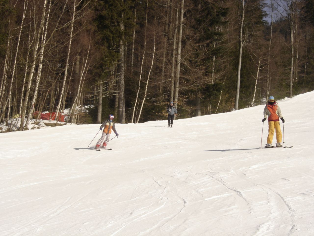 DSC04887.jpg